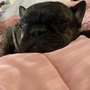 Meet your Posher, Marie